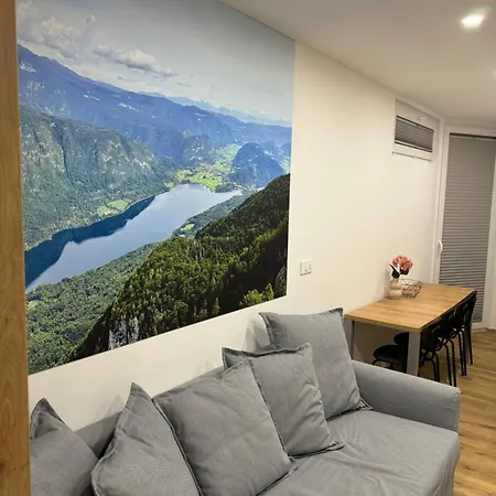 Apartma Tisa Bohinj-no Outside Windows *