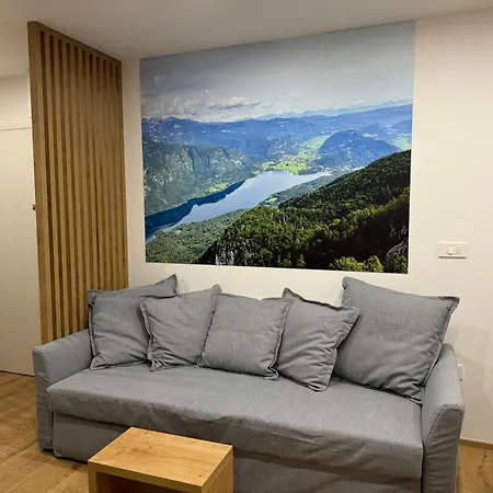 Apartma Tisa Bohinj-no Outside Windows