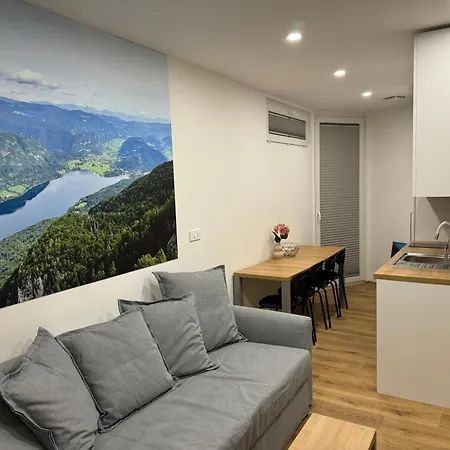 Apartma Tisa Bohinj-no Outside Windows *