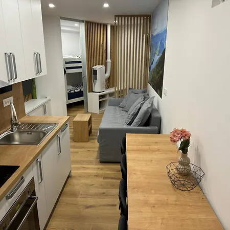 Apartment Apartma Tisa Bohinj-no Outside Windows Bohinj