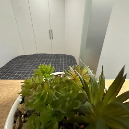 Apartma Tisa Bohinj-no Outside Windows * Bohinji-tó