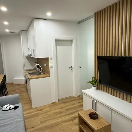 Apartma Tisa Bohinj-no Outside Windows Bohinji-tó