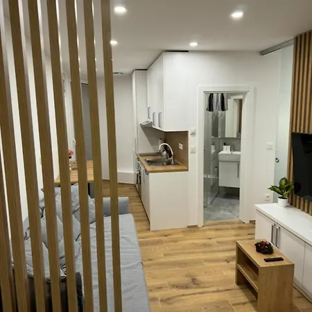 Apartment Apartma Tisa Bohinj-no Outside Windows Bohinj