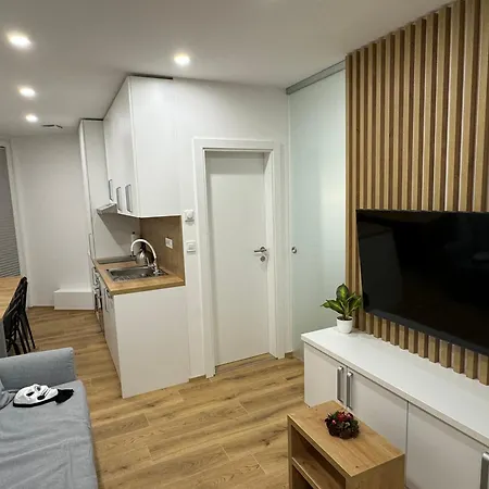 Apartman Apartma Tisa Bohinj-no Outside Windows Bohinji-tó