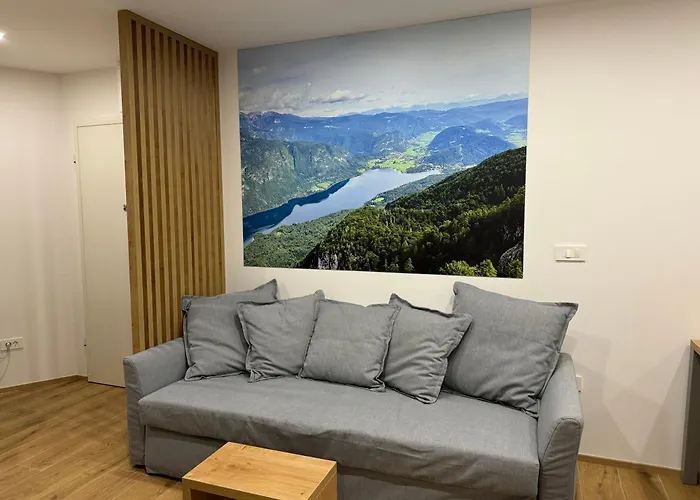 Apartma Tisa Bohinj-no Outside Windows