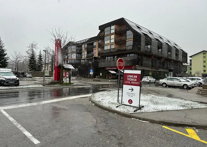 Apartma Tisa Bohinj-no Outside Windows Apartma Bohinj