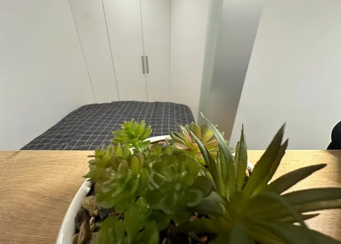 Apartma Tisa Bohinj-no Outside Windows * Bohinj