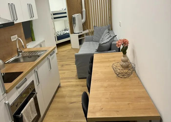 Apartma Tisa Bohinj-no Outside Windows Bohinj