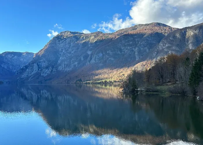 Apartma Tisa Bohinj-no Outside Windows Apartma Bohinj